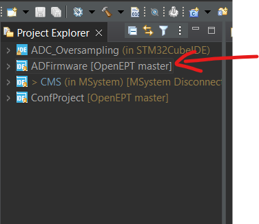 Project within File Explored subwindow