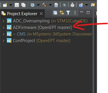 Project within File Explored subwindow